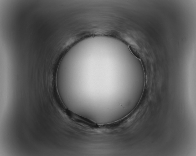 X0000086330201200704202048