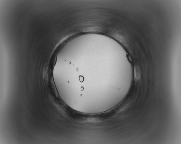 X0000086330204200704202048