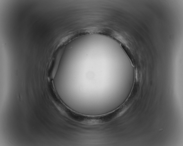 X0000086330205200704202048