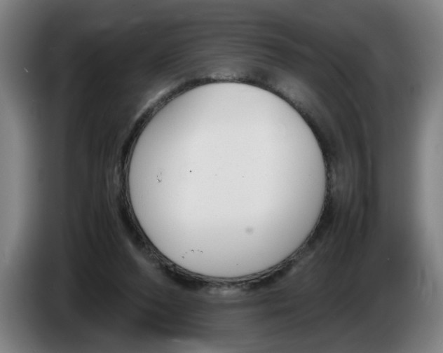 X0000086330208200704202048