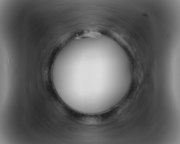 X0000086330209200704202048