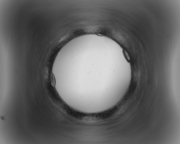 X0000086330211200704202048