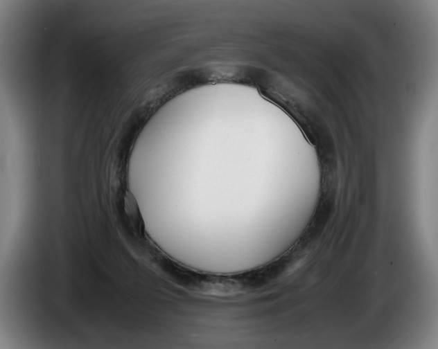 X0000086330215200704202048