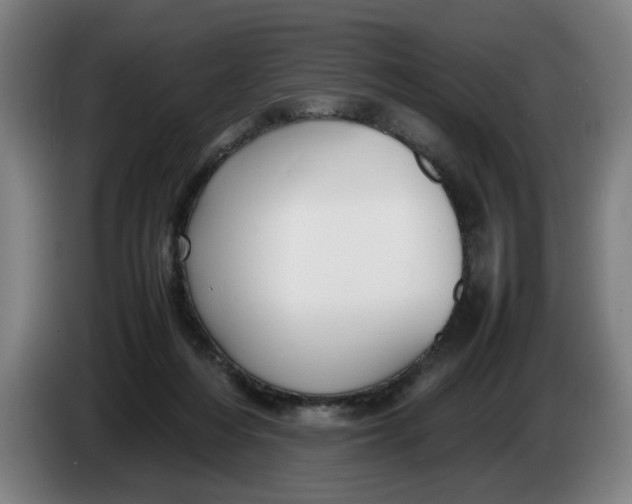 X0000086330216200704202048