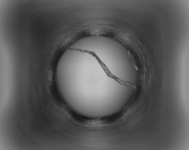 X0000086330219200704202048