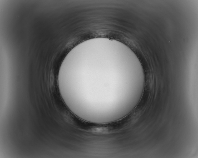 X0000086330220200704202048