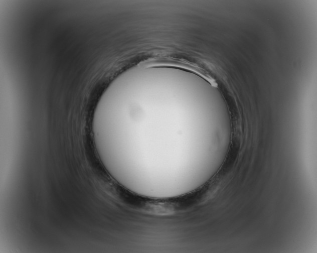 X0000086330221200704202048