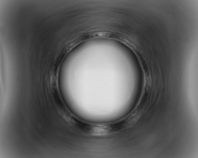 X0000086330222200704202048