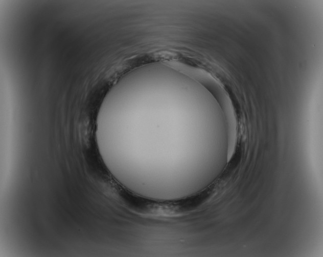 X0000086330223200704202048