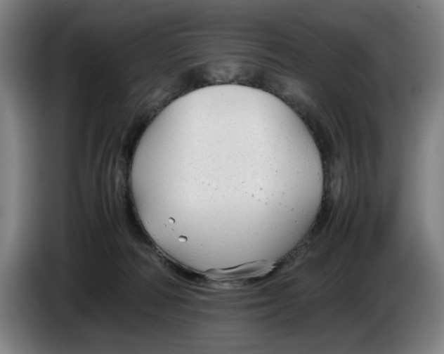 X0000086330226200704202048