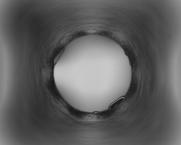 X0000086330227200704202048