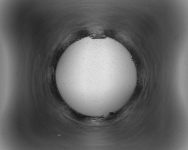 X0000086330229200704202048