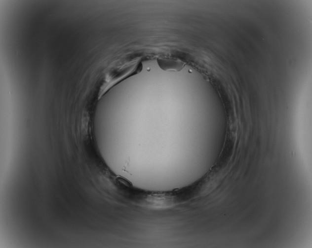 X0000086330231200704202048