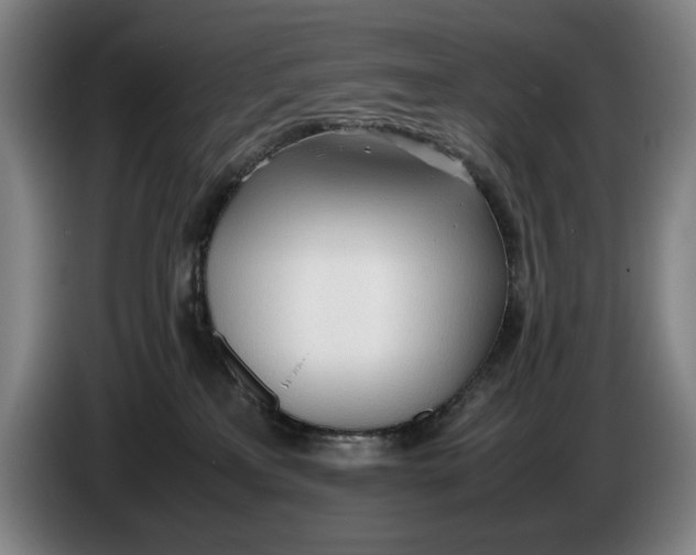 X0000086330233200704202048