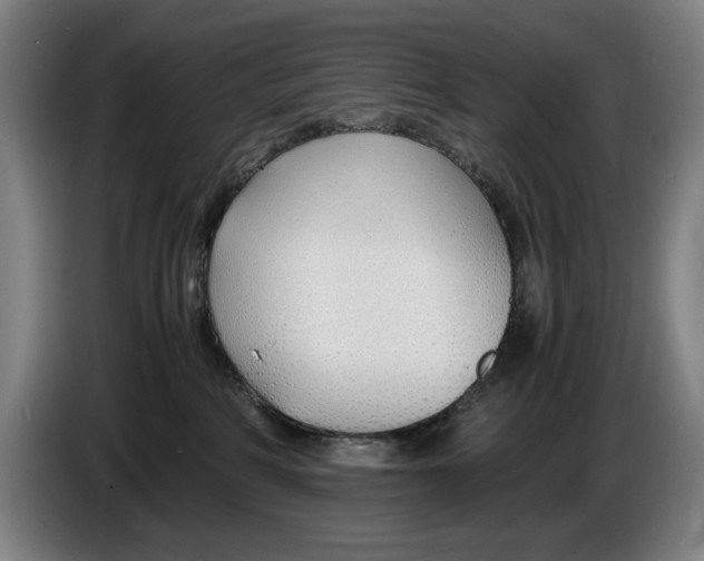 X0000086330234200704202048