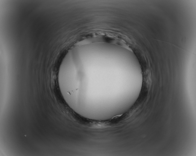 X0000086330235200704202048