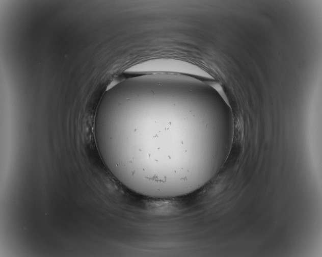 X0000086330237200704202048