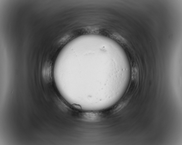 X0000086330238200704202048