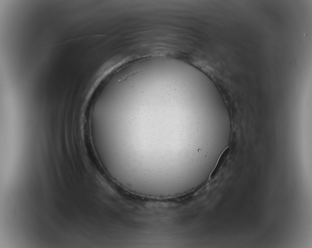 X0000086330242200704202047