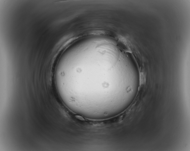 X0000086330243200704202047