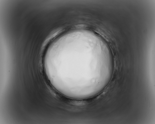 X0000086330245200704202047