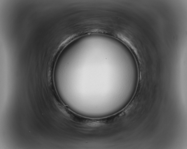 X0000086330249200704202047