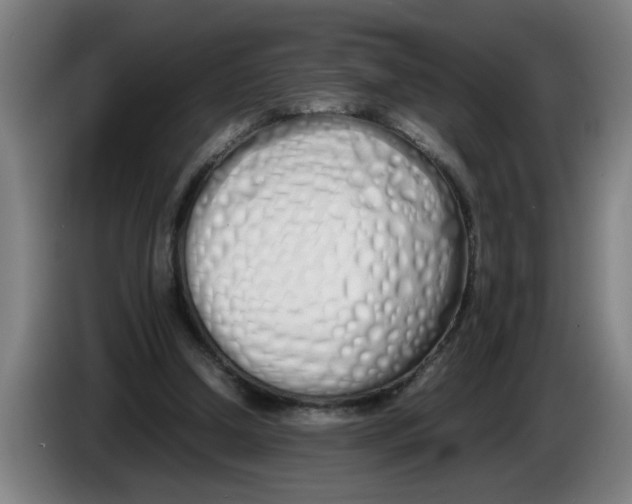 X0000086330250200704202047