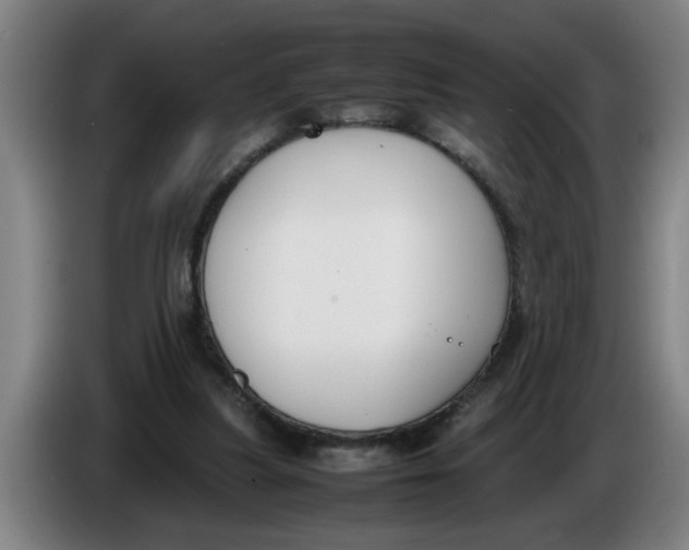 X0000086330251200704202047