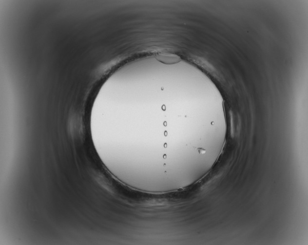 X0000086330252200704202047