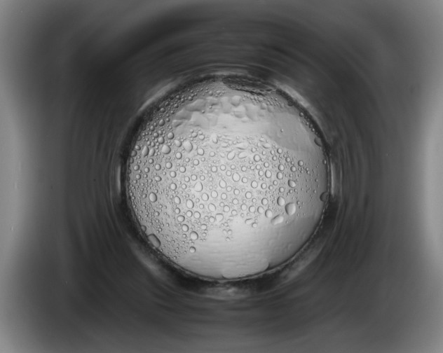 X0000086330253200704202047