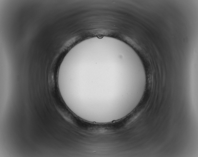 X0000086330254200704202047