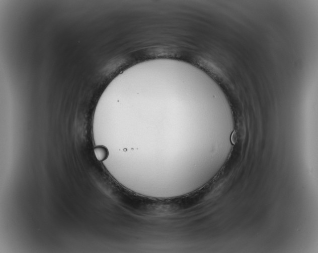 X0000086330255200704202047