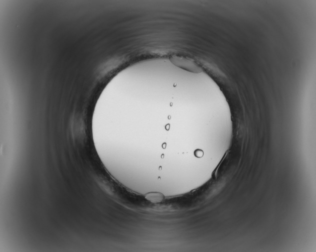 X0000086330256200704202047