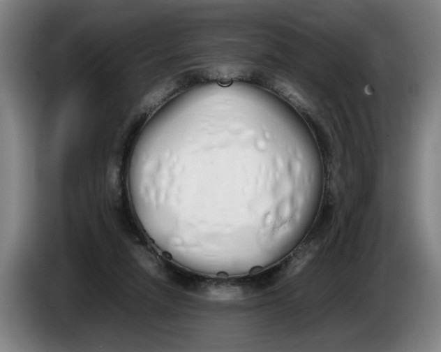 X0000086330258200704202047