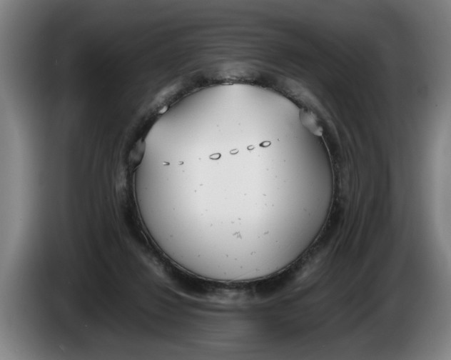 X0000086330260200704202047