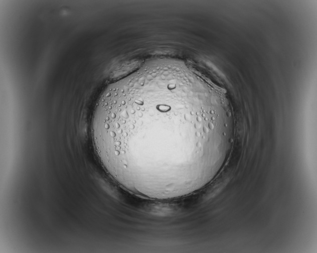 X0000086330261200704202047