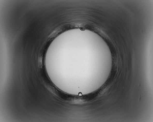 X0000086330262200704202047