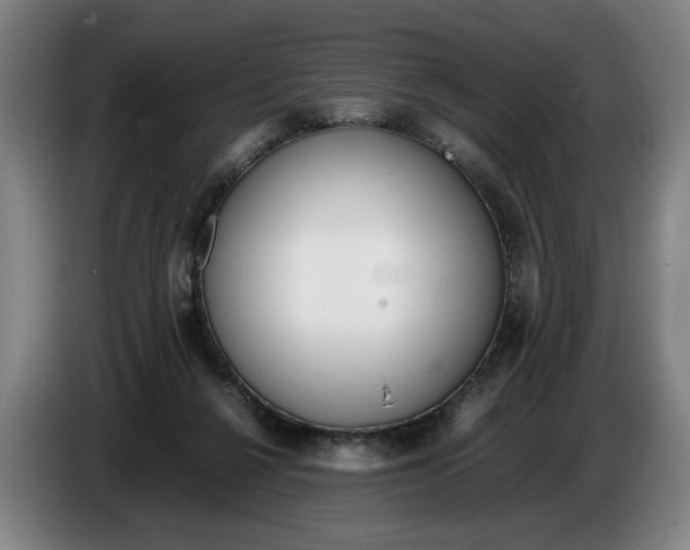 X0000086330264200704202047