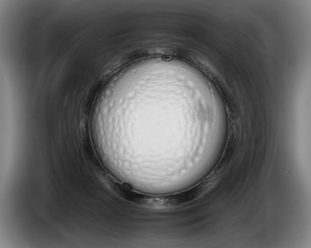 X0000086330265200704202047