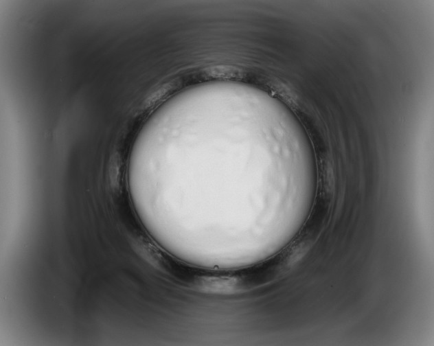 X0000086330266200704202047