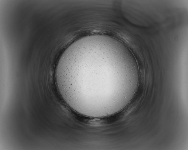 X0000086330269200704202047