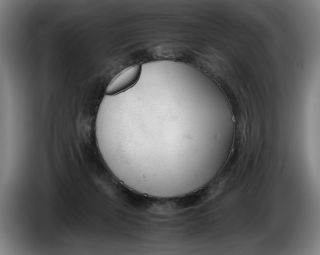 X0000086330271200704202047