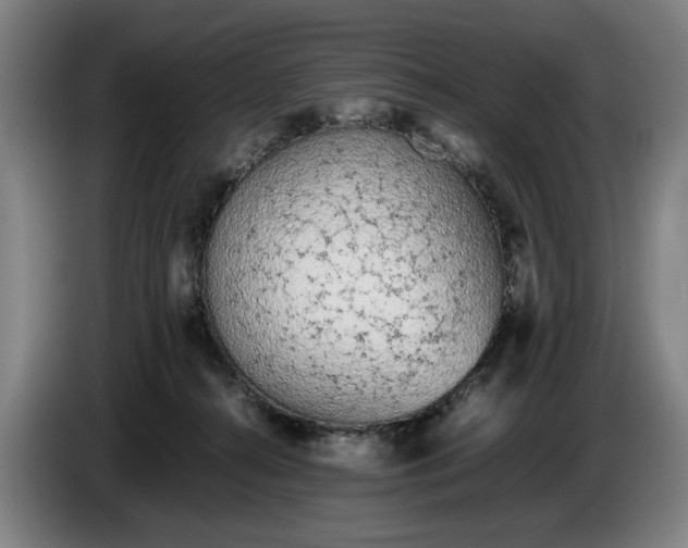 X0000086330272200704202047