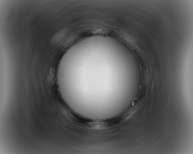 X0000086330273200704202047