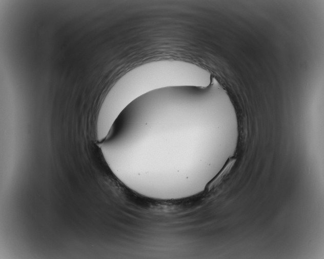 X0000086330276200704202047