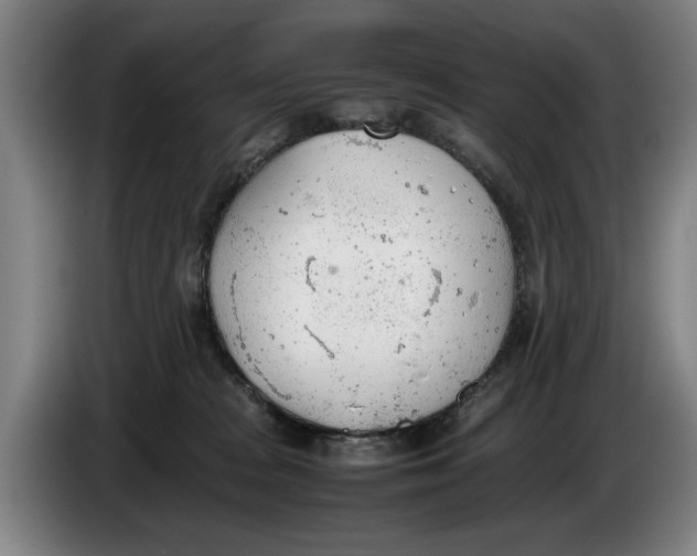 X0000086330277200704202047