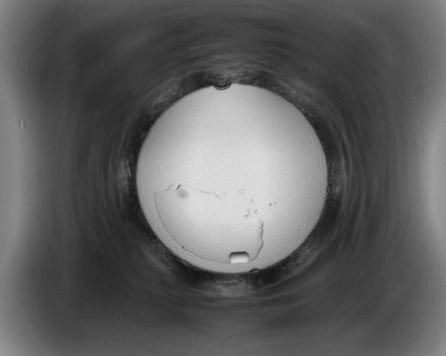 X0000086330279200704202047