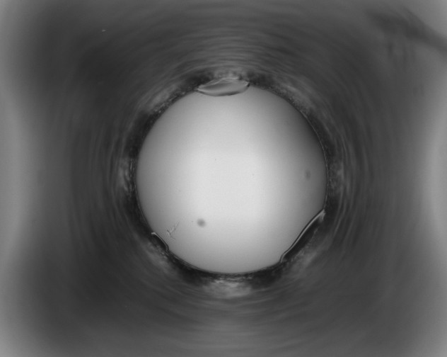 X0000086330280200704202047