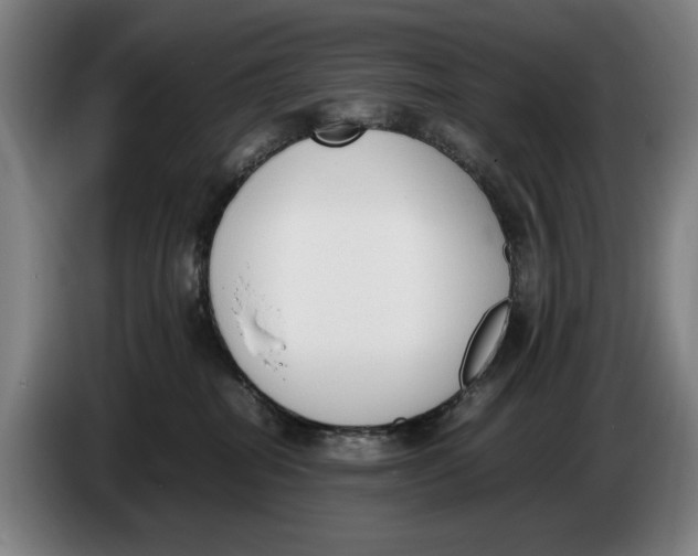 X0000086330282200704202047