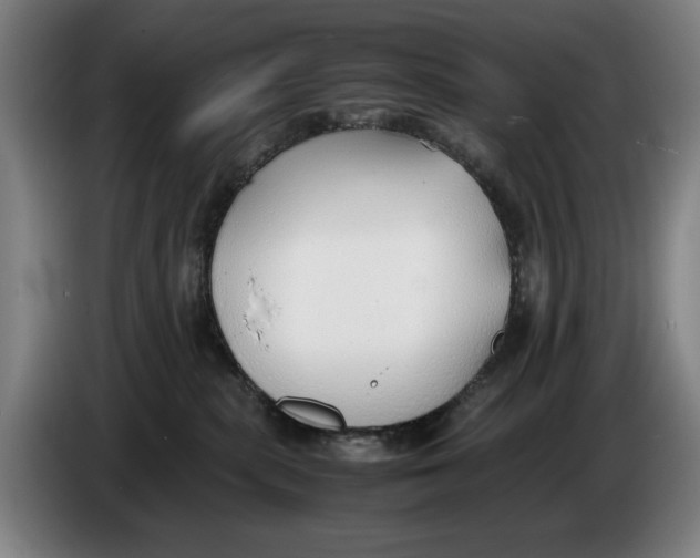 X0000086330283200704202047